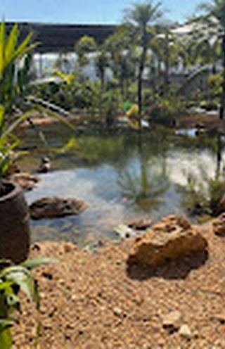 Jardim com lago e pedras na loja